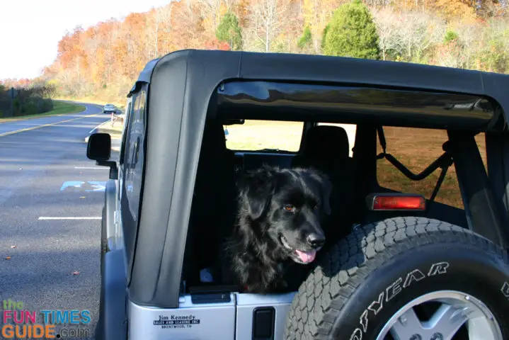5 Clever Jeep Wrangler Soft Top Rear Window Ideas You Probably Haven T Tried Yet The Jeep Guide