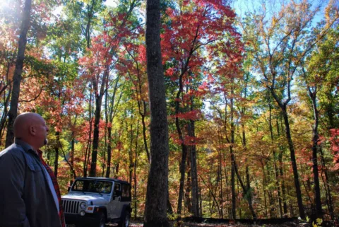 Jim enjoying the beautiful (and peaceful quiet) of the forest... with our Jeep in the background. 