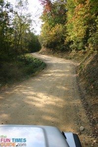 tellico-trail-1-dirt-road