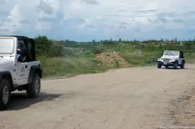 two-jeep-wranglers-in-aruba.jpg